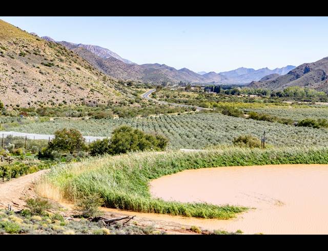 1,206HA FARM FOR SALE IN PRINCE ALBERT RURAL